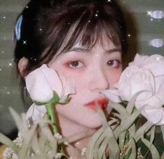 年度新片