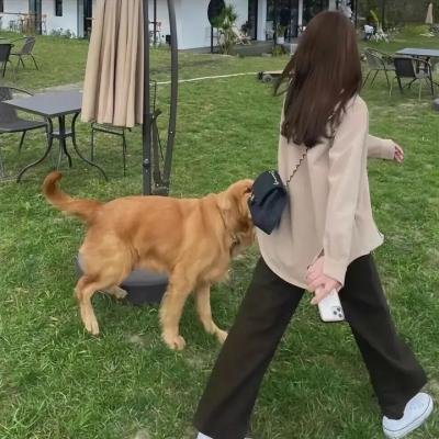双重间谍