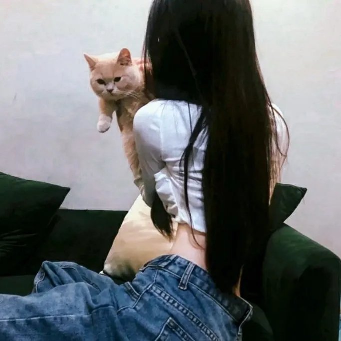 漂移的栅栏